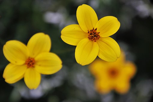 사업자 차 구입 개인파산 신고2