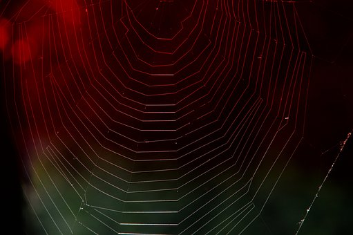 Spinnennetz, Rotlicht, Netz