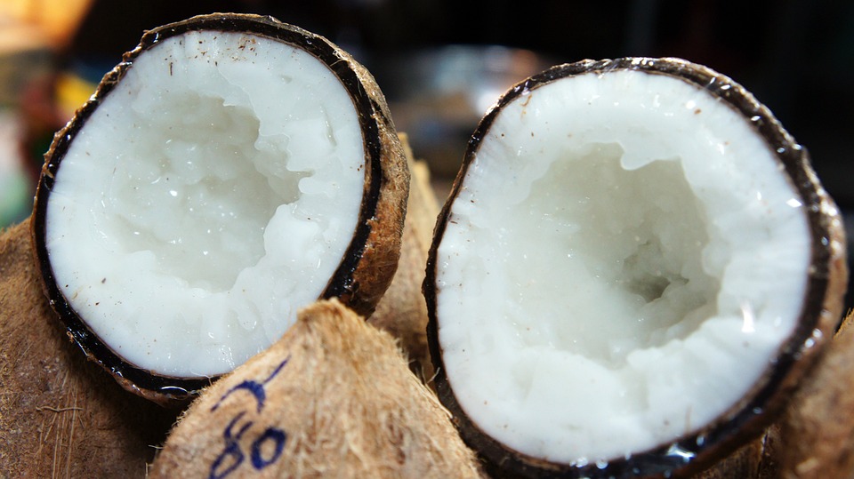 Gelatinous Coconut Free photo on Pixabay Pixabay