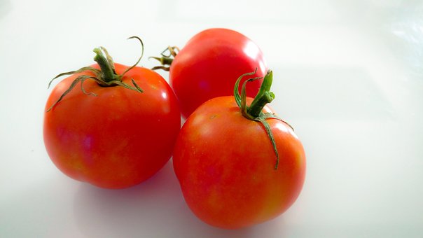 Free Tomato Vegetable photo and picture
