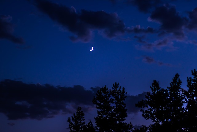 Luna, Estrella, Árbol, Azul, Noche