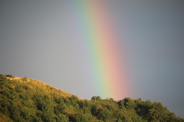 Free Rainbow Rain photo and picture