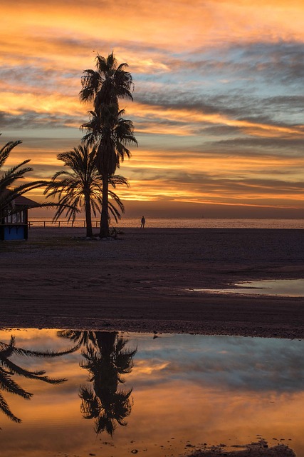 Nascer Do Sol, Mar, Reflexão, Agua