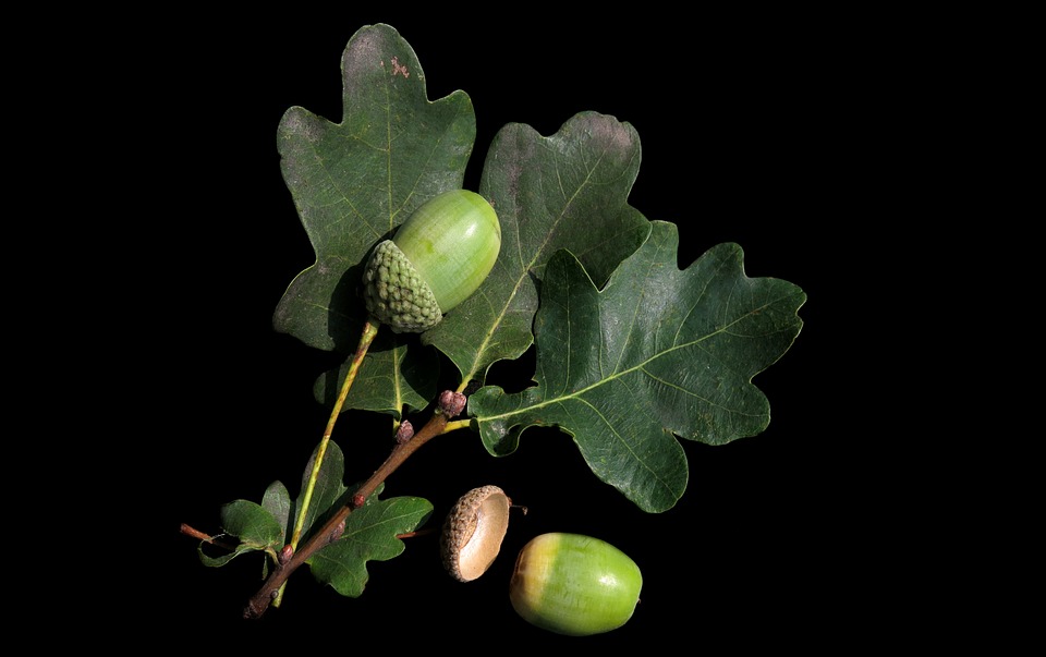 大香蕉重口味