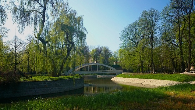Free Bridge Architecture photo and picture