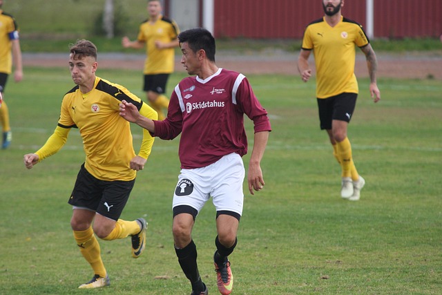 Free Football Soccer photo and picture
