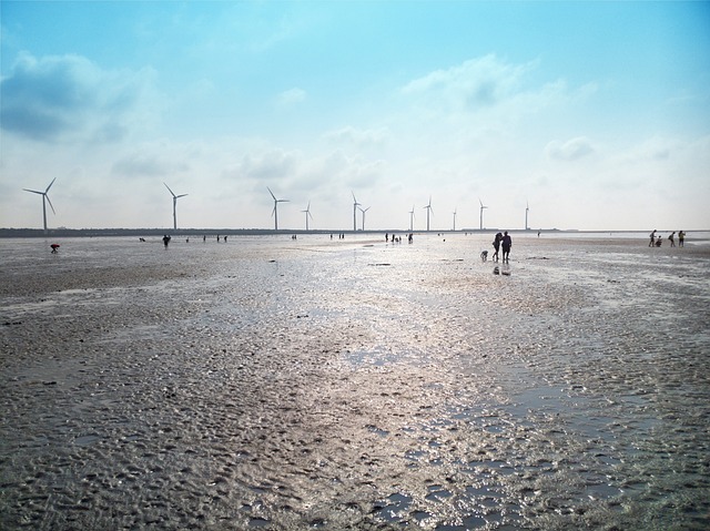 超过 10000 张关于“Wind Overlay”和“风”的免费图片 - Pixabay