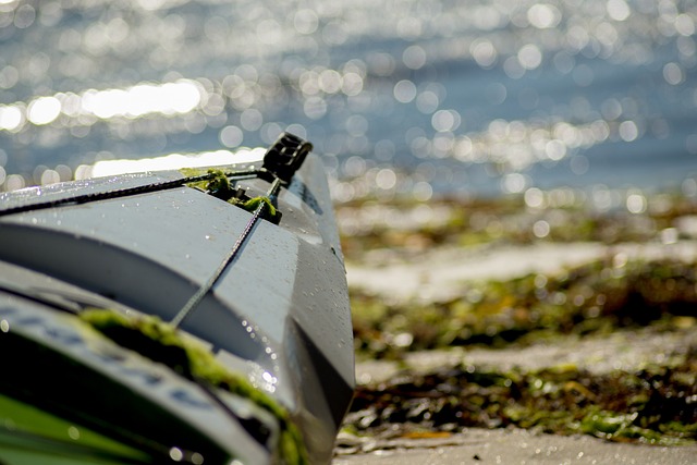Boot, Kano, Zee, Natuur, Rustig Aan
