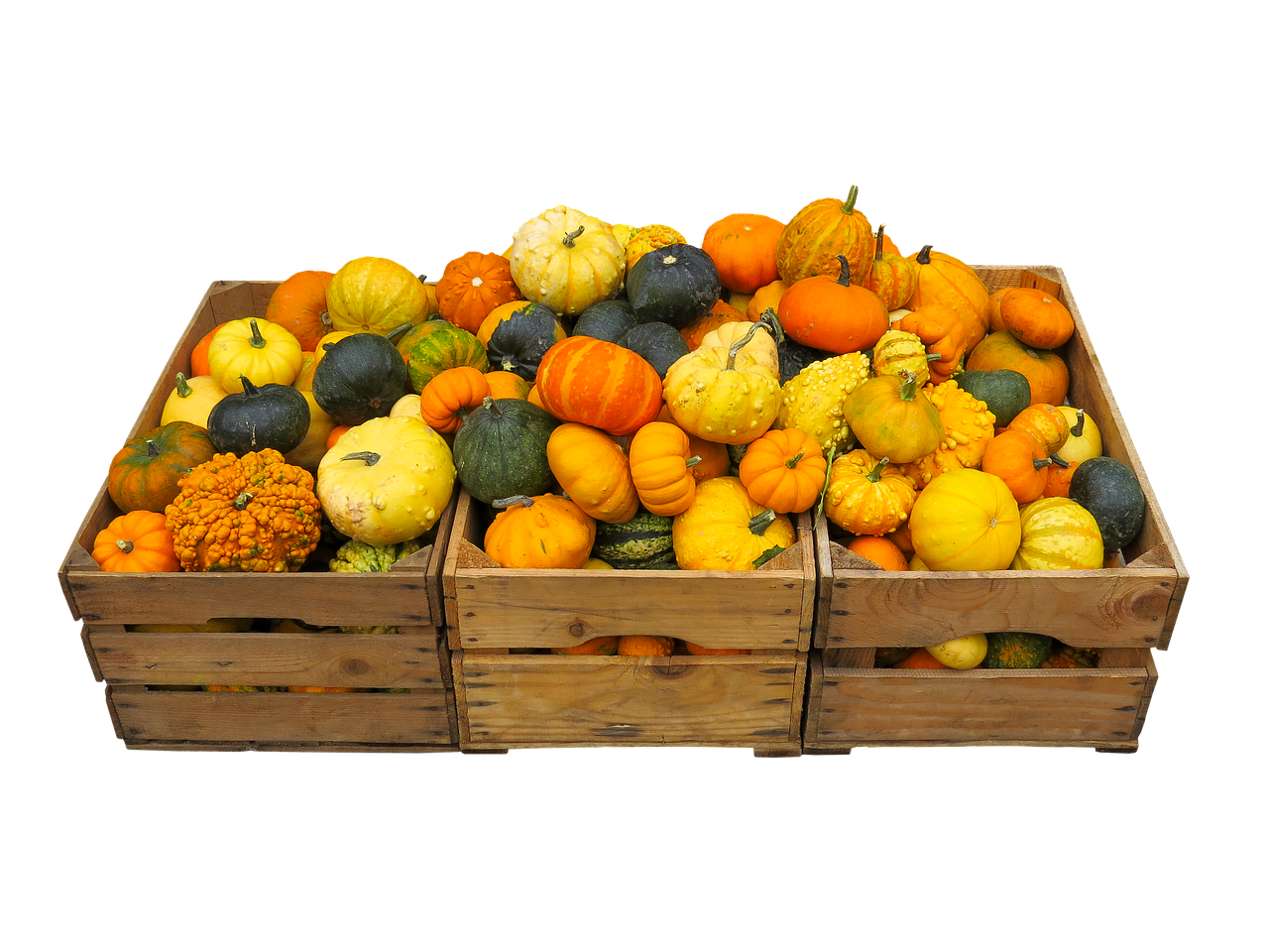 Meal - free online jigsaw puzzle photo