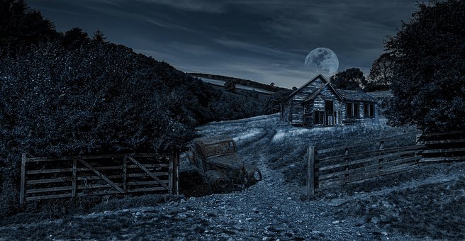 Free Night Moonlight photo and picture
