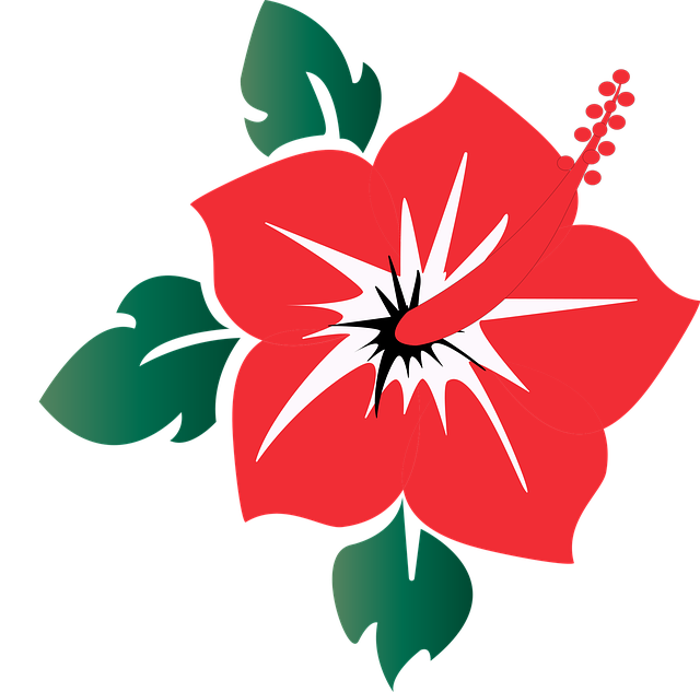 Free hibiscus flower bloom vector