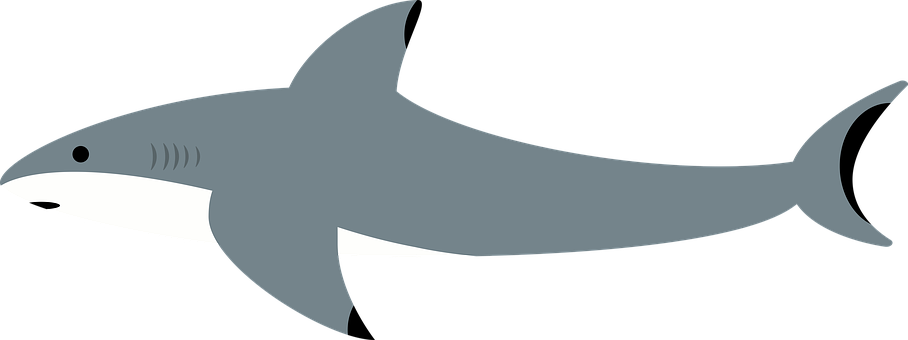 Free Shark Sea illustration and picture