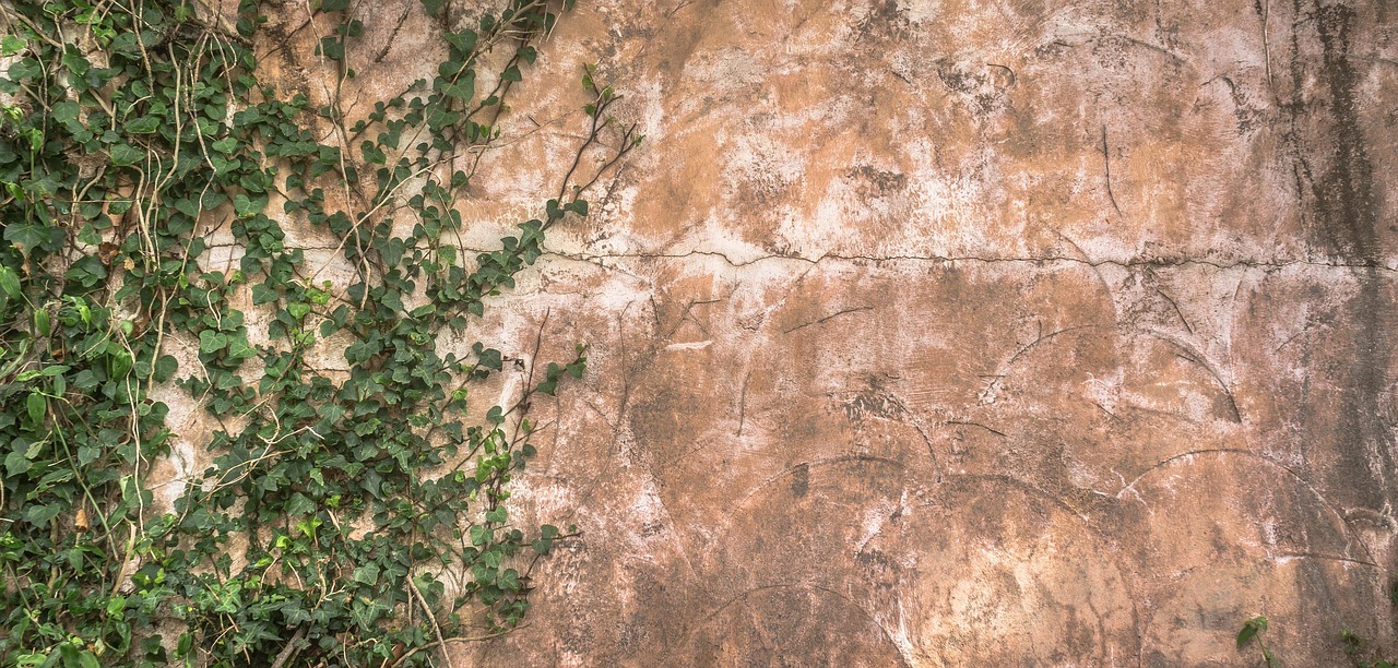 Wall - free online jigsaw puzzle photo