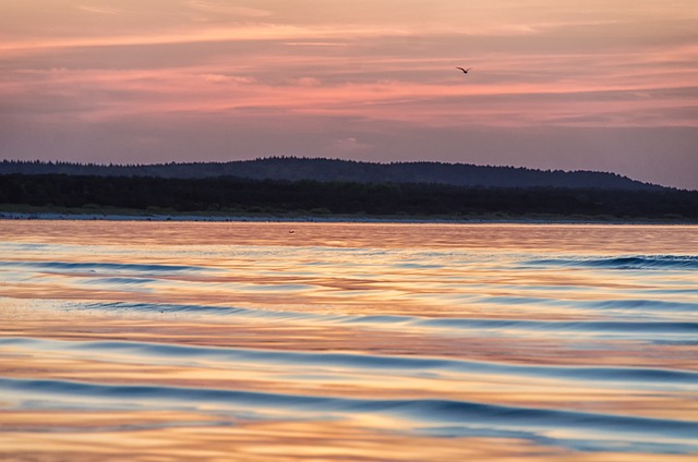 Free Sea Desktop Backgrounds photo and picture
