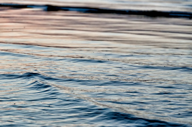 Free Wave Sea photo and picture