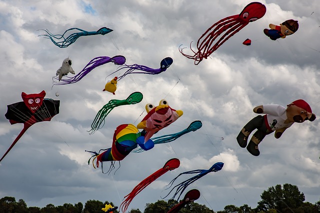 Free Dragon Dragon Festival photo and picture