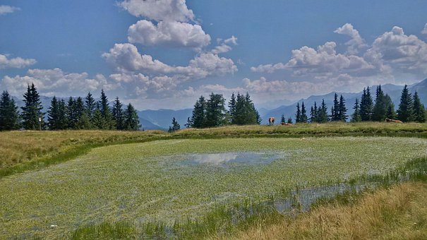 Free Alps Lake photo and picture