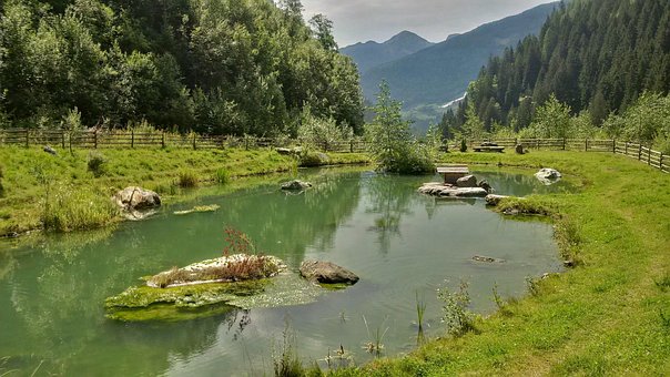 Free Alps Lake photo and picture