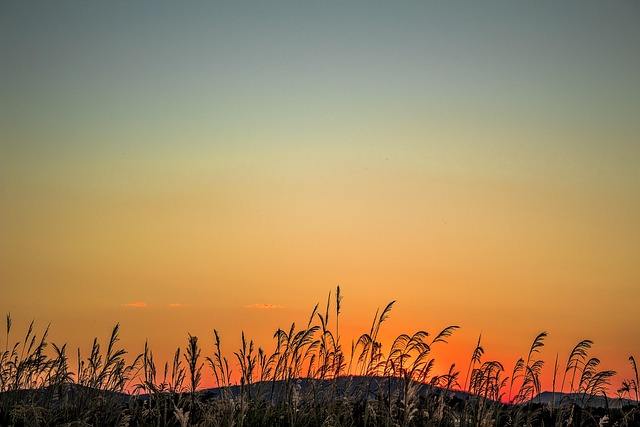 Free Sun Sunset photo and picture