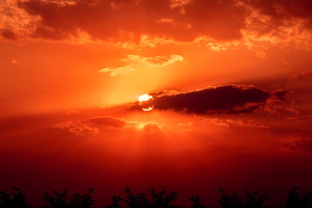 Free Sunset Nature photo and picture
