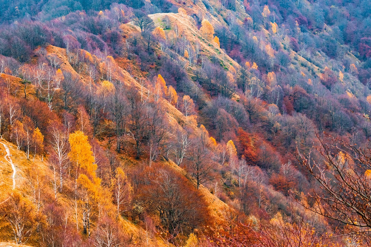 landscape 3704261 1280