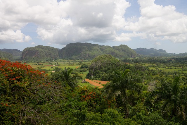Free Cuba Vinales photo and picture