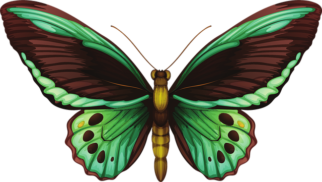 Free butterfly green realistic illustration