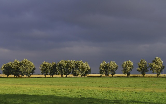Free Nature Landscape photo and picture