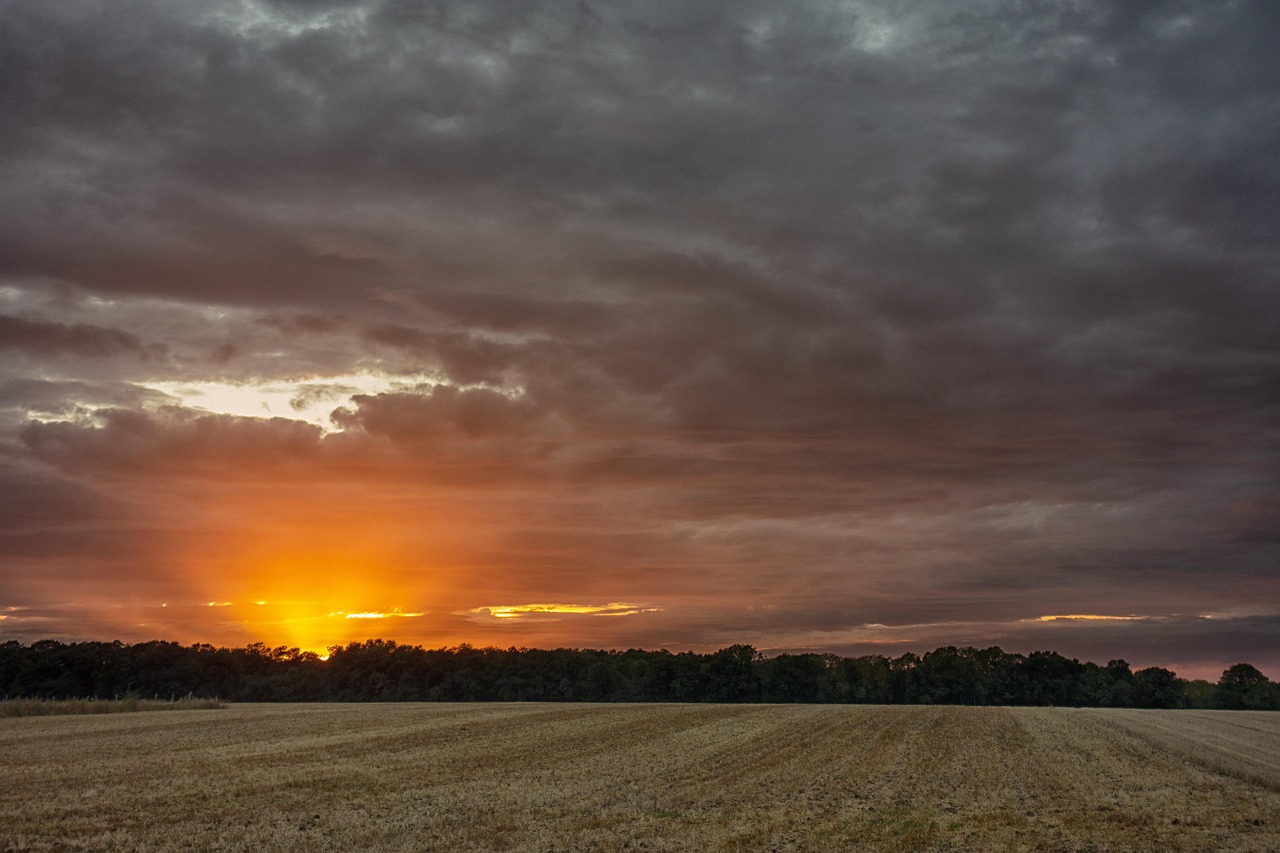 Paysage Champ Prés Coucher De - Photo gratuite sur Pixabay - Pixabay