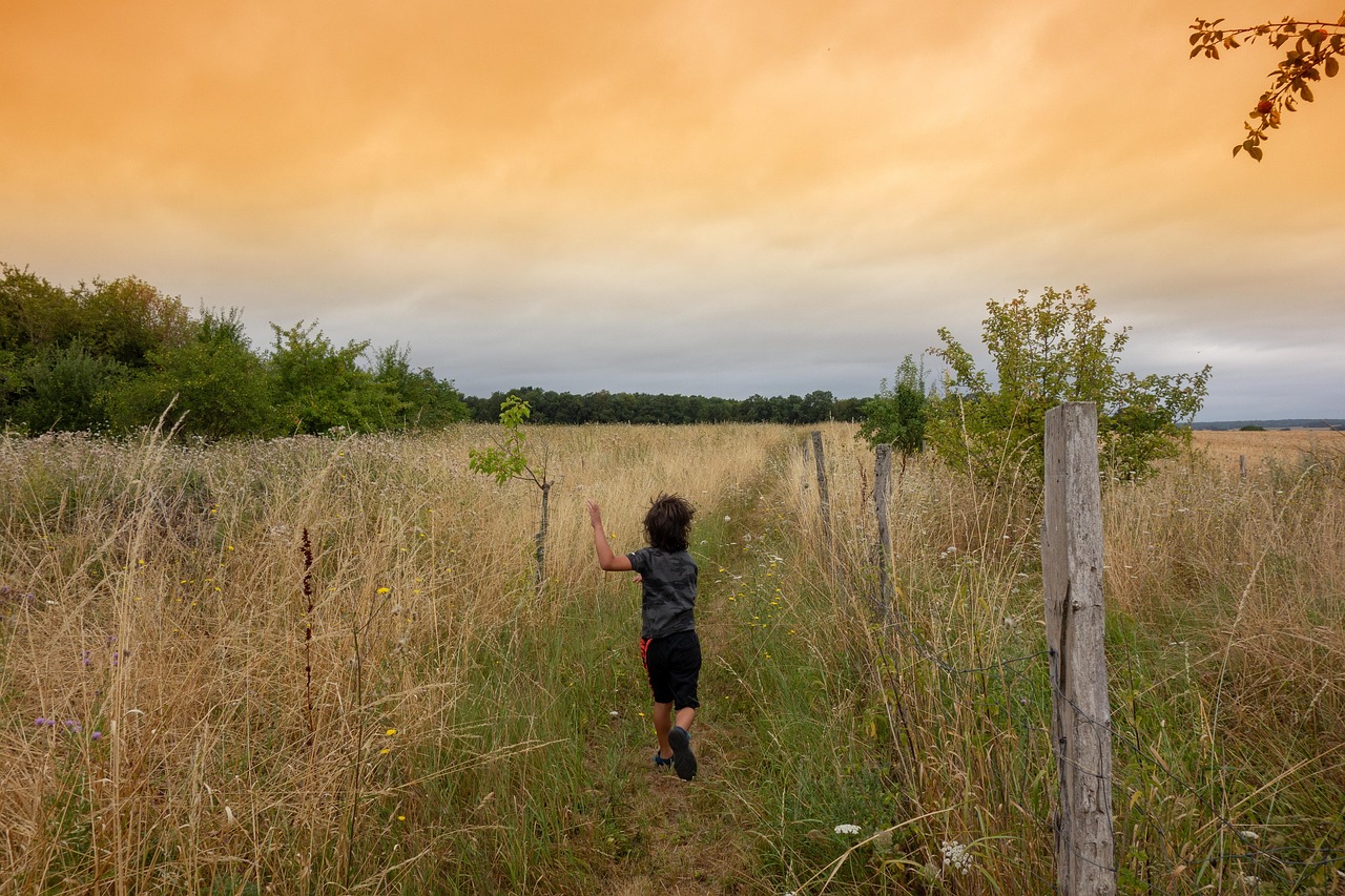 Paysage Champ Prés Coucher De - Photo gratuite sur Pixabay - Pixabay