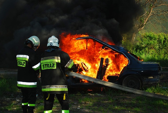 Free Fire Firefighter photo and picture
