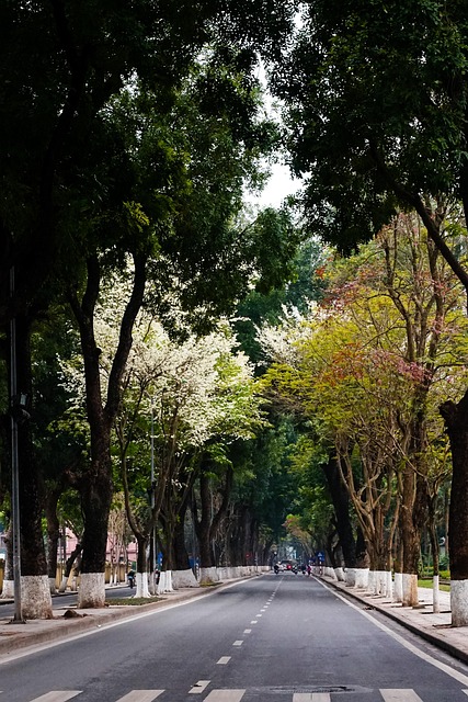 Free Hanoi Street photo and picture