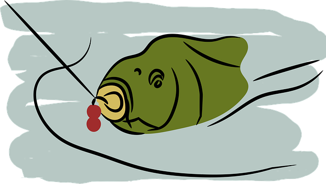 8+ Free Boilies Calig & Carp Images - Pixabay