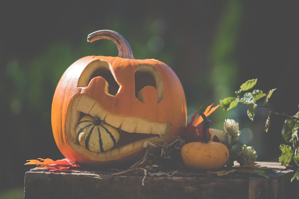 Halloween, Pumpkin, Autumn, Decoration, Food, Orange