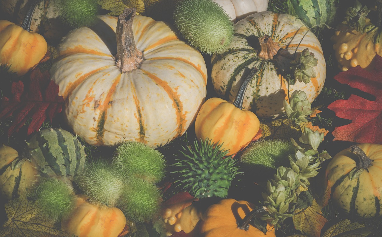 Halloween - free online jigsaw puzzle photo