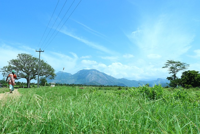 Natur, Wunderschön, Draußen, Sommer