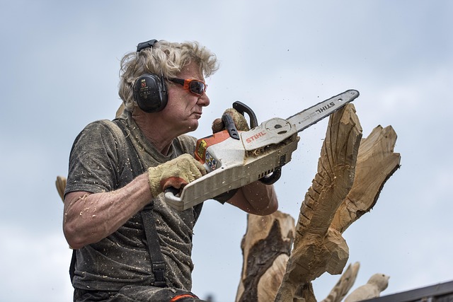 Free Wood Carver Tree photo and picture