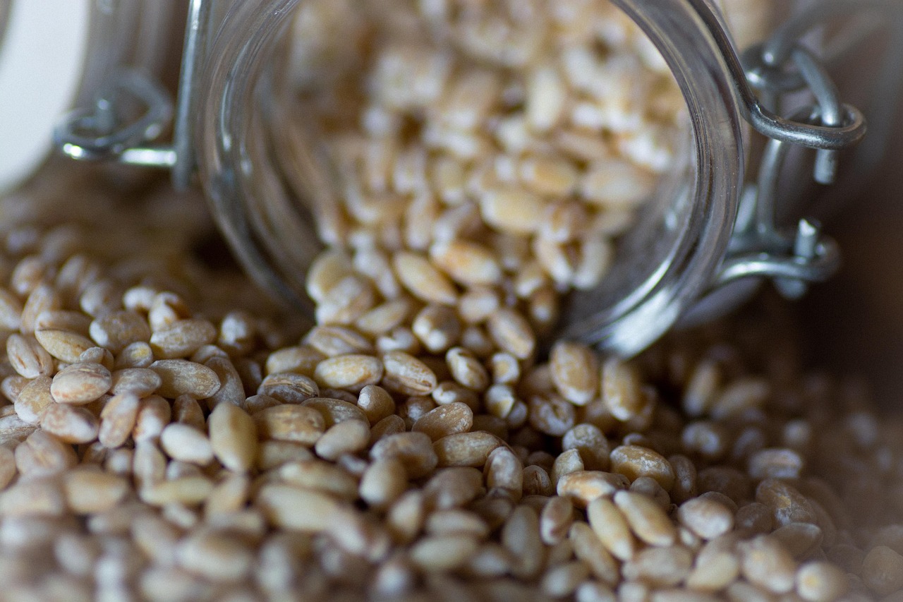 cereals-3709572_1280.jpg