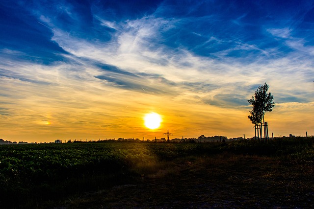 Free Sunset Sun photo and picture