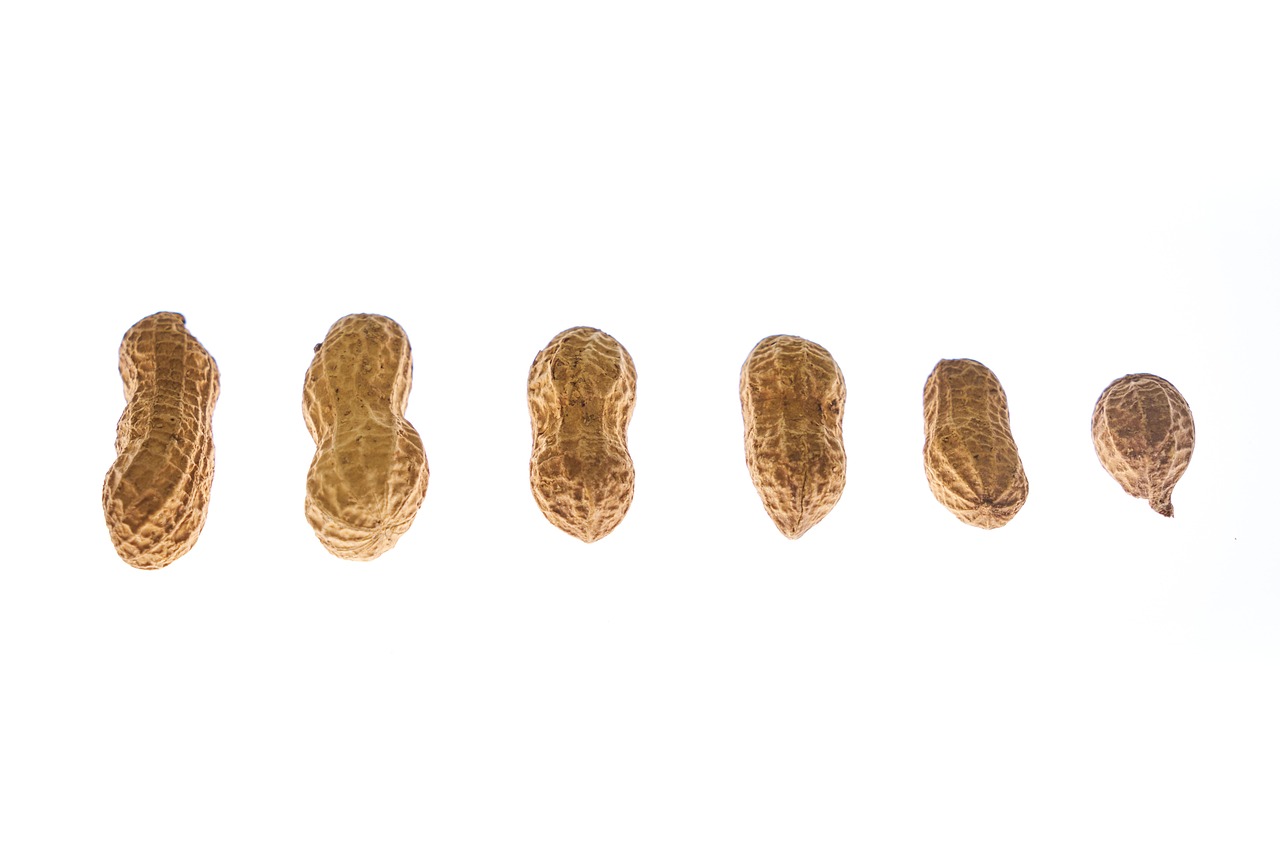 Peanut Peanuts Shelled - Free photo on Pixabay