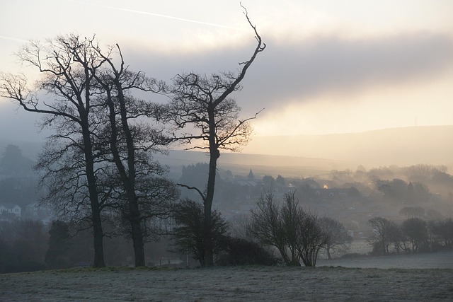 Free Misty Morning Atmospheric photo and picture