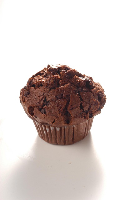 Free Chocolate Muffin photo and picture
