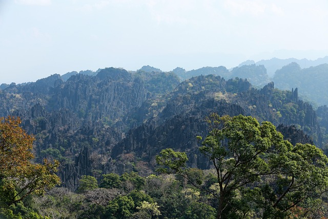 Free Laos Limestone Forest photo and picture