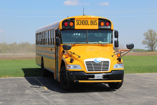 10 000 Free School Bus School Bus Images Pixabay