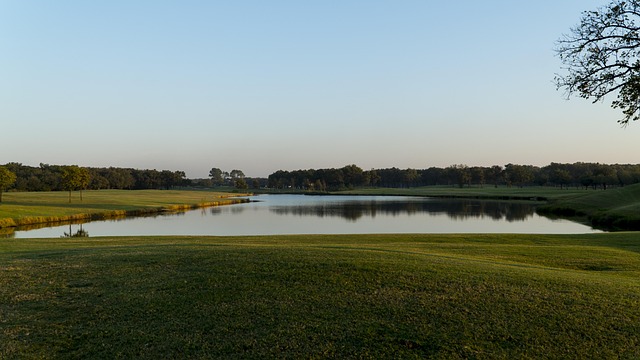 Golf, Golfbaan, Golfen, Groente, Gras