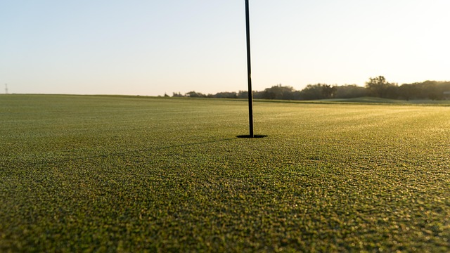 Golf, Golfbaan, Golfen, Groente, Gras