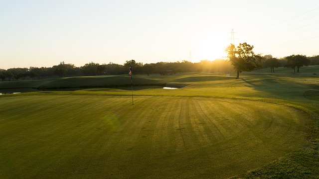Golf, Golfbaan, Golfen, Groente, Gras