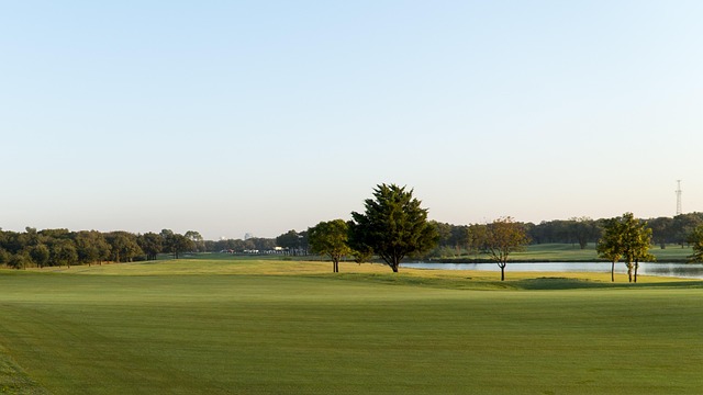 Golf, Golfbaan, Golfen, Groente, Gras