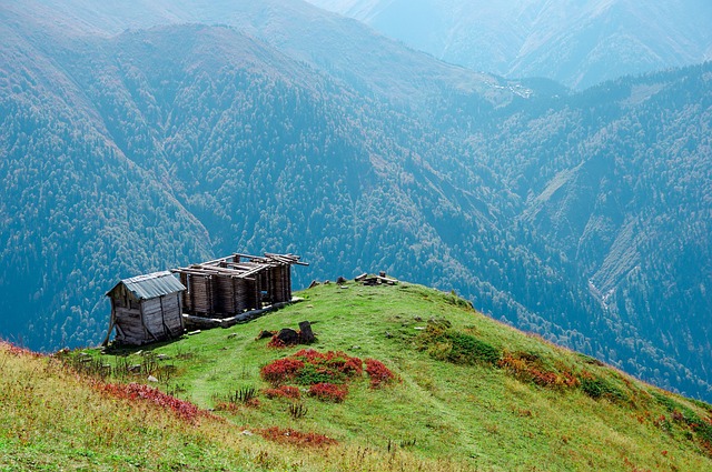 Free Swing Alps photo and picture