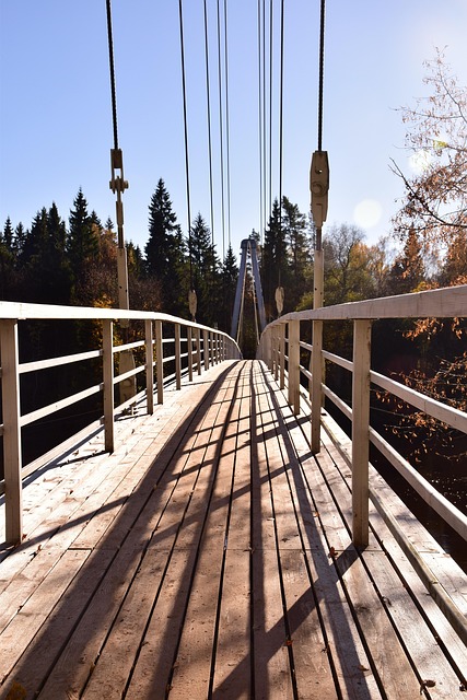 Free Bridge Autumn photo and picture
